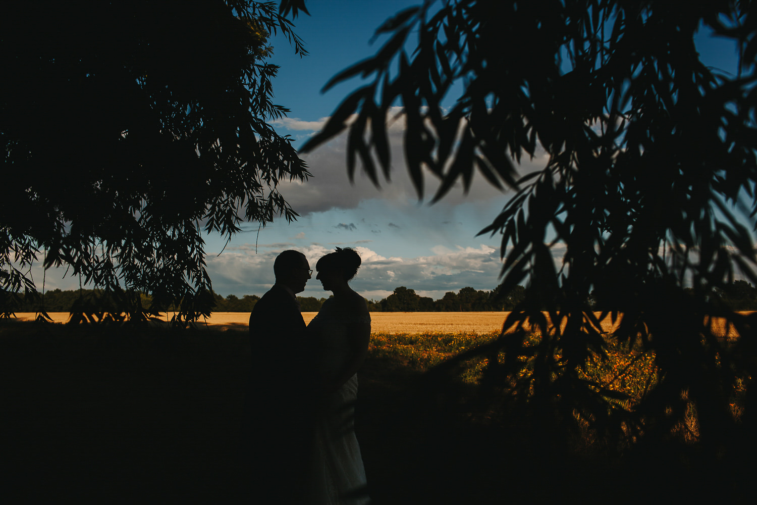 Bride and groom silouette picture in front of golden fields and blue sky