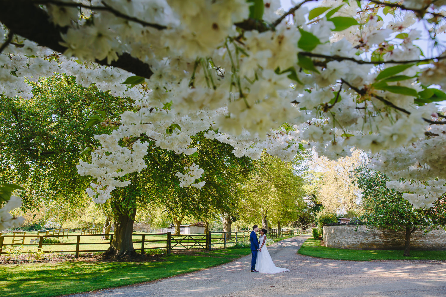 Bride and groom underneath blossom trees
