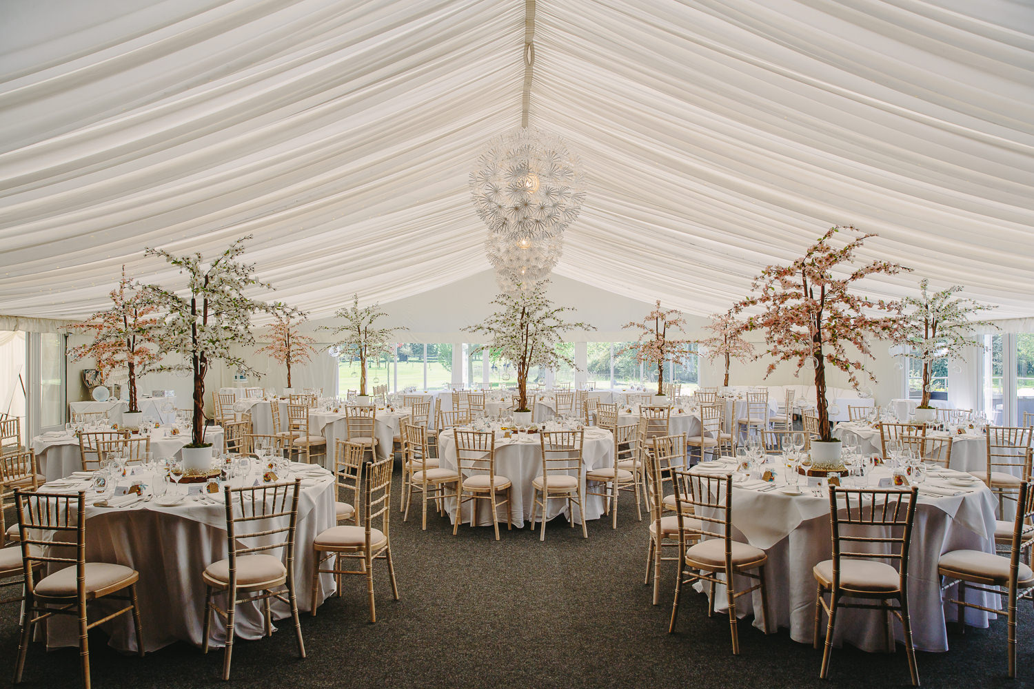 Wedding reception room decorated with blossom trees