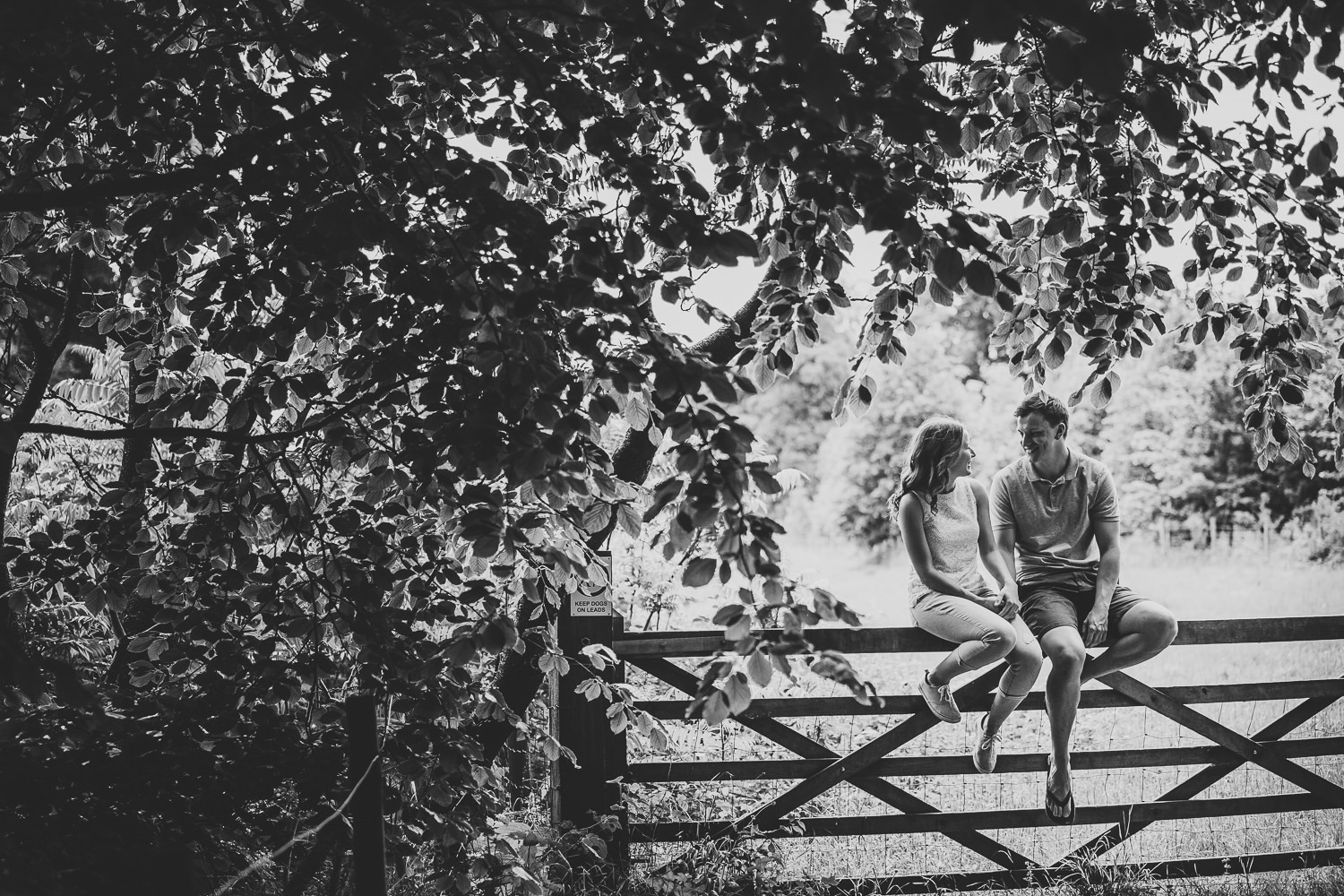 Engagement shoot photo of a couple sitting on a gate in a country park, captured by a Cambridge Photographer