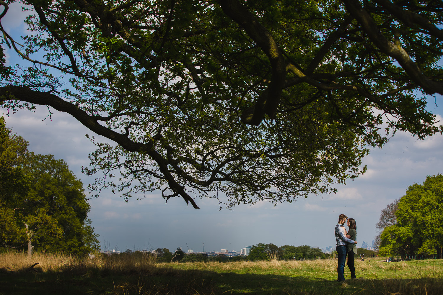 Scenic photo of an engaged couple standing under neath the trees in Richmond Park with sky and london city skyline in the distance