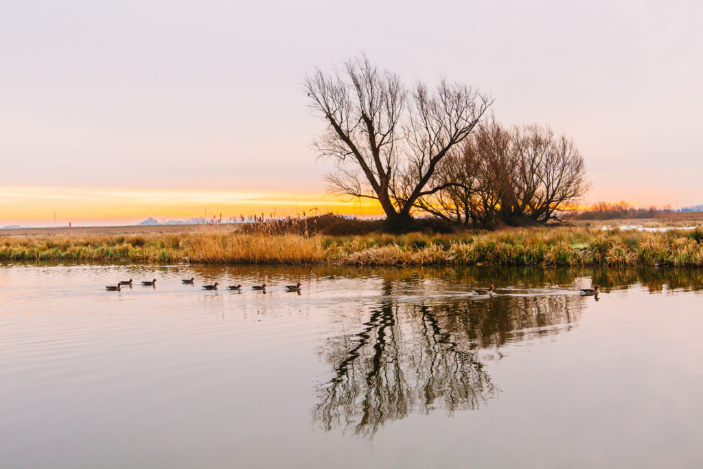 Cambridgeshire Fens Photography | Ely, Cambridgeshire ...