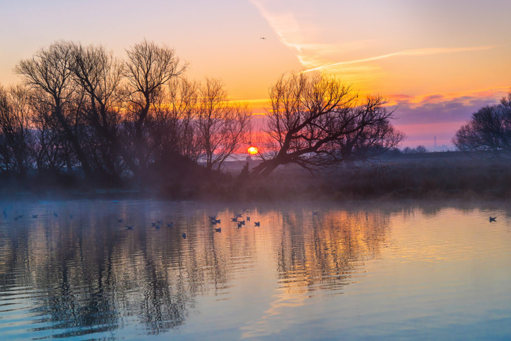 Cambridgeshire Fens Photography | Ely, Cambridgeshire ...